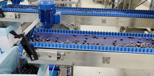 Niverplast | Berry packing services
