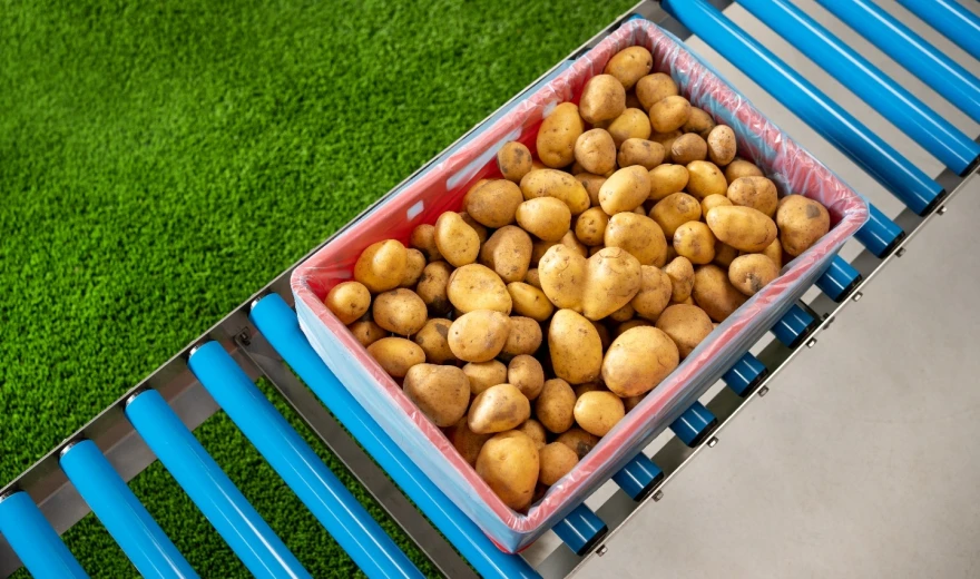 Potatoes bag in E2 crate