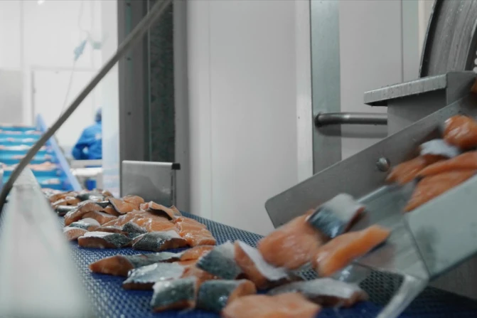 Noordzee International Salmon Packaging
