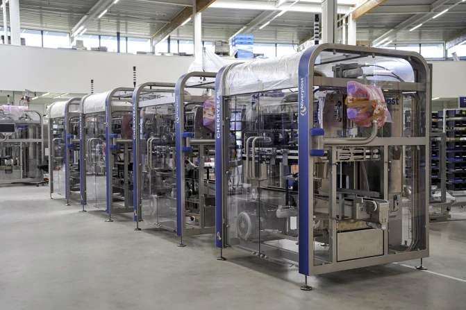 Zautomatyzowane pakowanie wiśni | CherrySeal | Niverplast